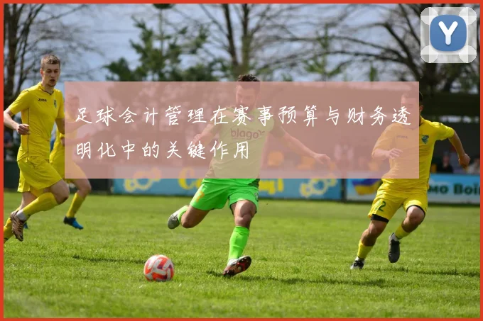足球会计管理在赛事预算与财务透明化中的关键作用