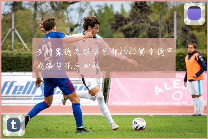 多特蒙德足球俱乐部2025赛季德甲战绩与亮点回顾